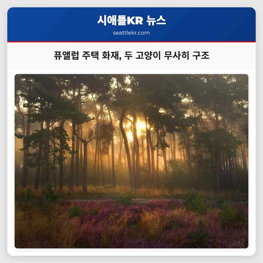 퓨앨럽 주택 화재, 두 고양이 무사히 구조