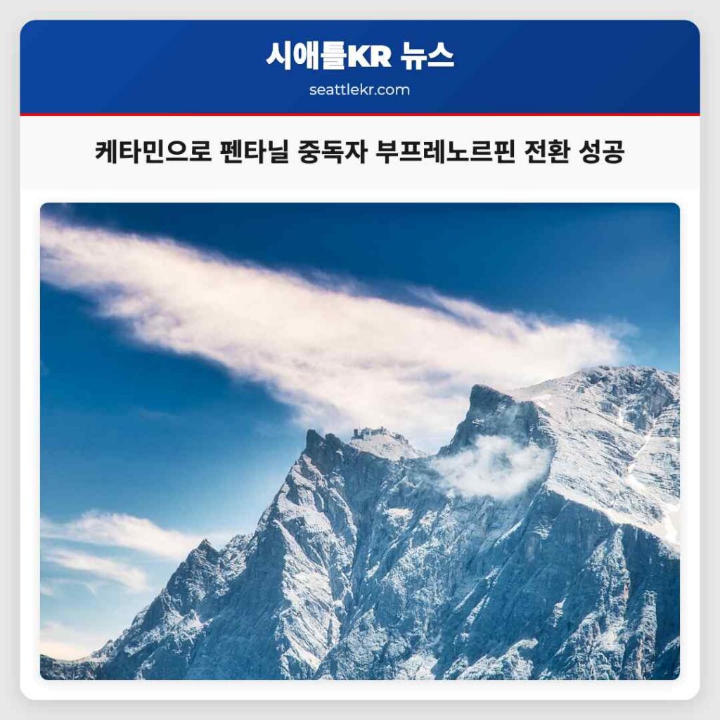 케타민으로 펜타닐 중독자 부프레노르핀 전환 성공