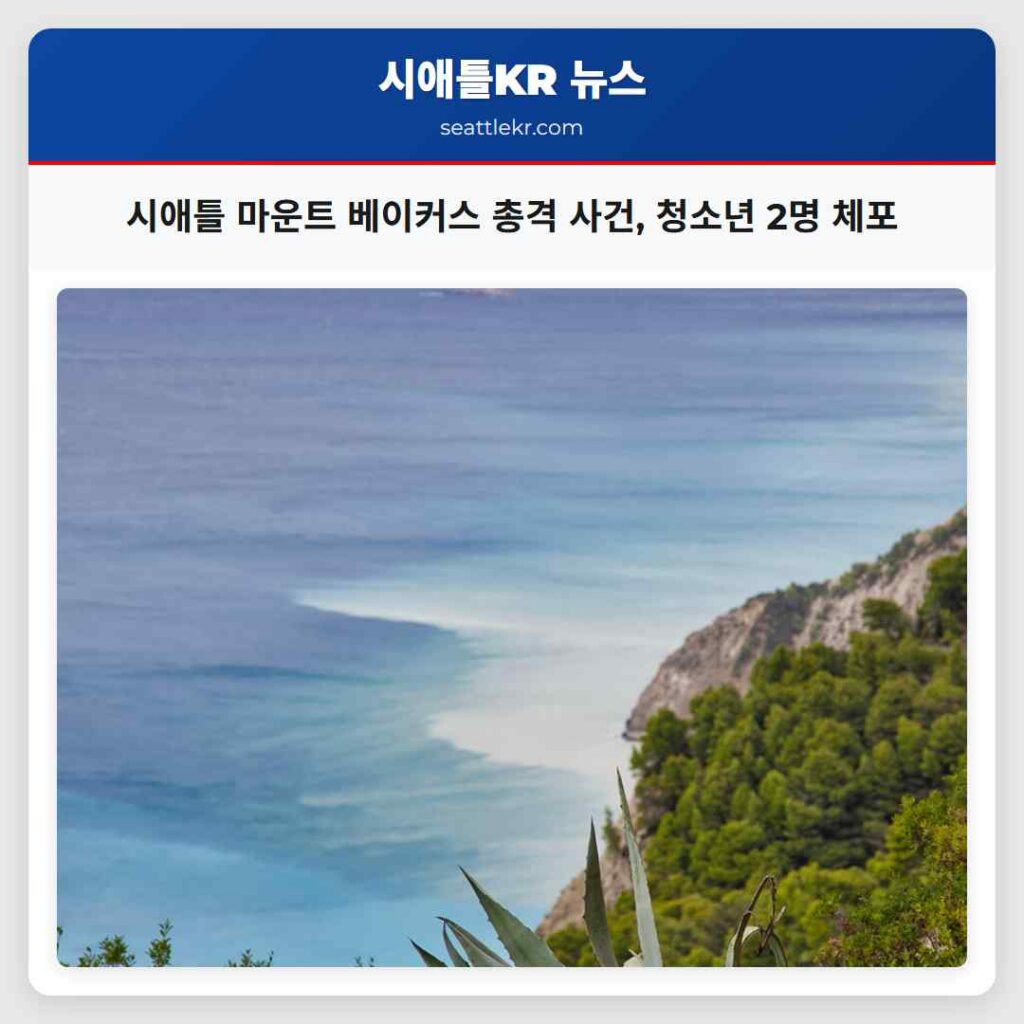 시애틀 마운트 베이커스 총격 사건, 청소년 2명 체포