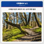 시애틀 마운트 베이커 지역 버스 이용객 폭행 사건 발생 가해자 도주 중