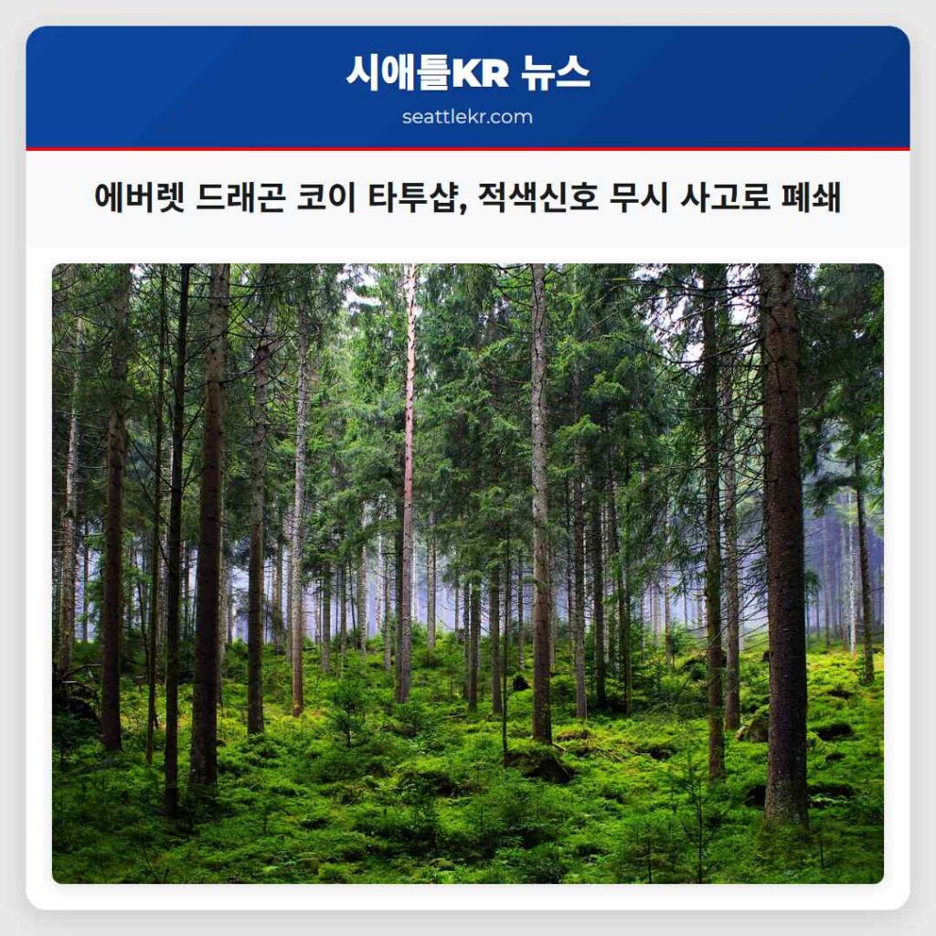 에버렛 드래곤 코이 타투샵, 적색신호 무시 사고로 폐쇄