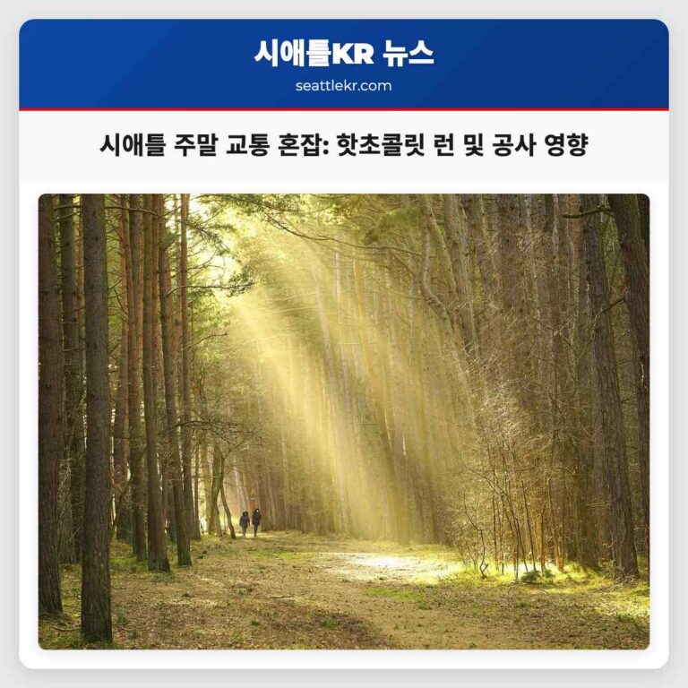 주말 시애틀 교통 혼잡 예상 핫초콜릿 런 행사 및 도로 공사 영향