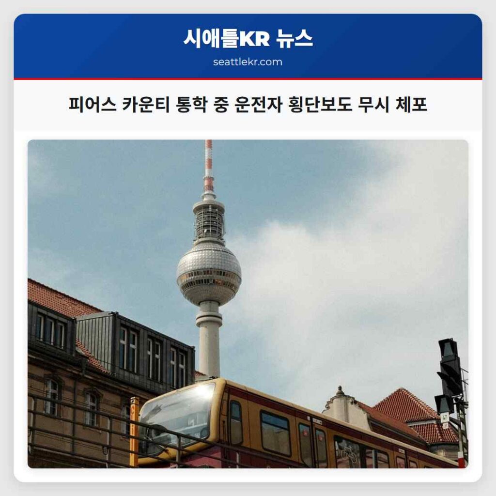 피어스 카운티 통학 중 운전자 횡단보도 무시 체포