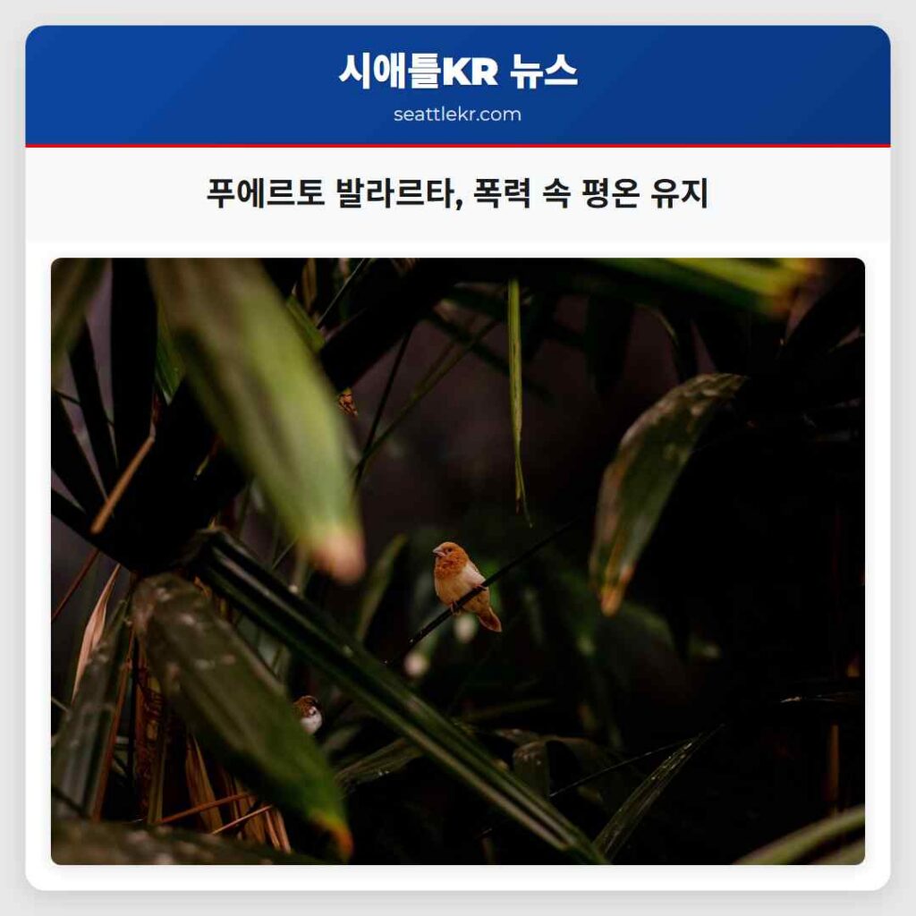 푸에르토 발라르타, 폭력 속 평온 유지
