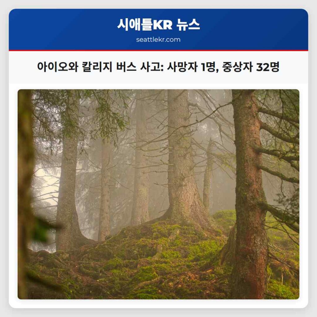 아이오와 칼리지 버스 사고: 사망자 1명, 중상자 32명