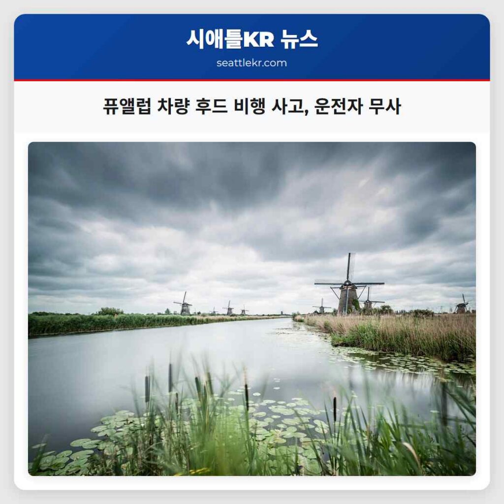 퓨앨럽 차량 후드 비행 사고, 운전자 무사