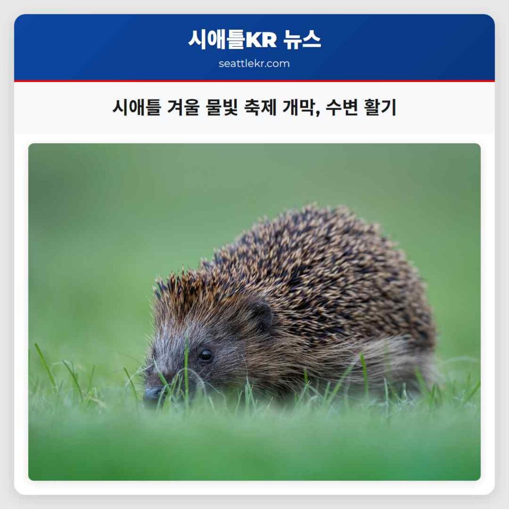 시애틀 겨울 물빛 축제 개막, 수변 활기