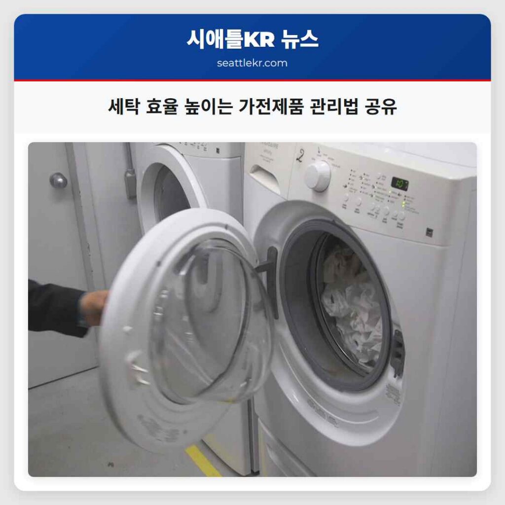 세탁 효율 높이는 가전제품 관리법 공유