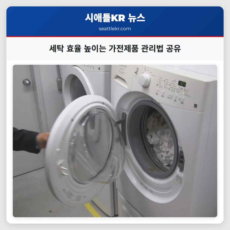 가족 모두를 위한 세탁 지혜 얼룩 제거에서 가전제품 관리까지
