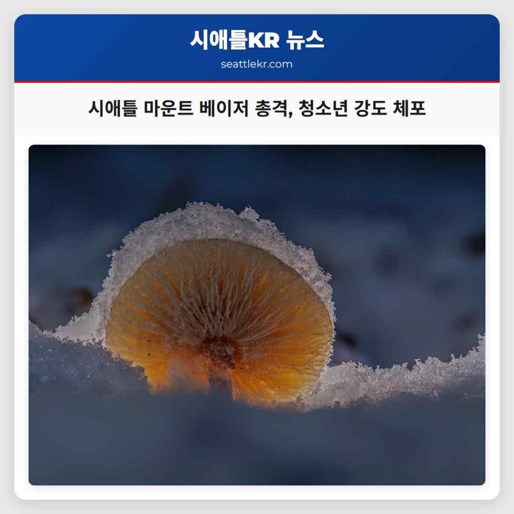 시애틀 마운트 베이저 총격, 청소년 강도 체포