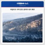 머킬티오 지역 강도 사건 용의자 대거 체포로 지역 안전 강화