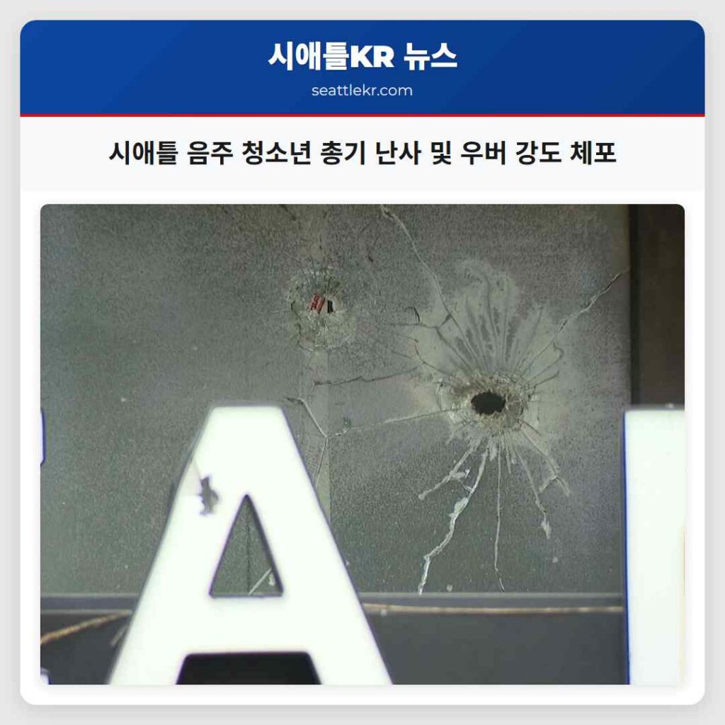 시애틀 음주 청소년 총기 난사 및 우버 강도 체포