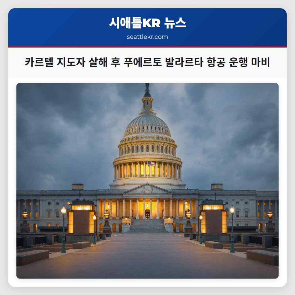 카르텔 지도자 살해 후 푸에르토 발라르타 항공 운행 마비