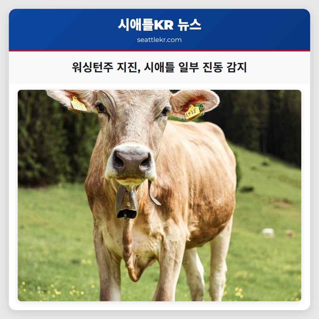 워싱턴주 지진, 시애틀 일부 진동 감지