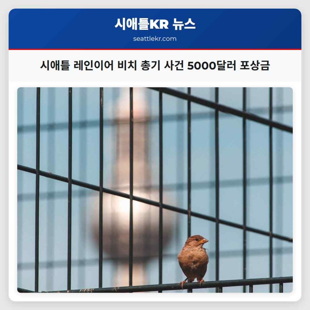 시애틀 레인이어 비치 총기 사건 5000달러 포상금