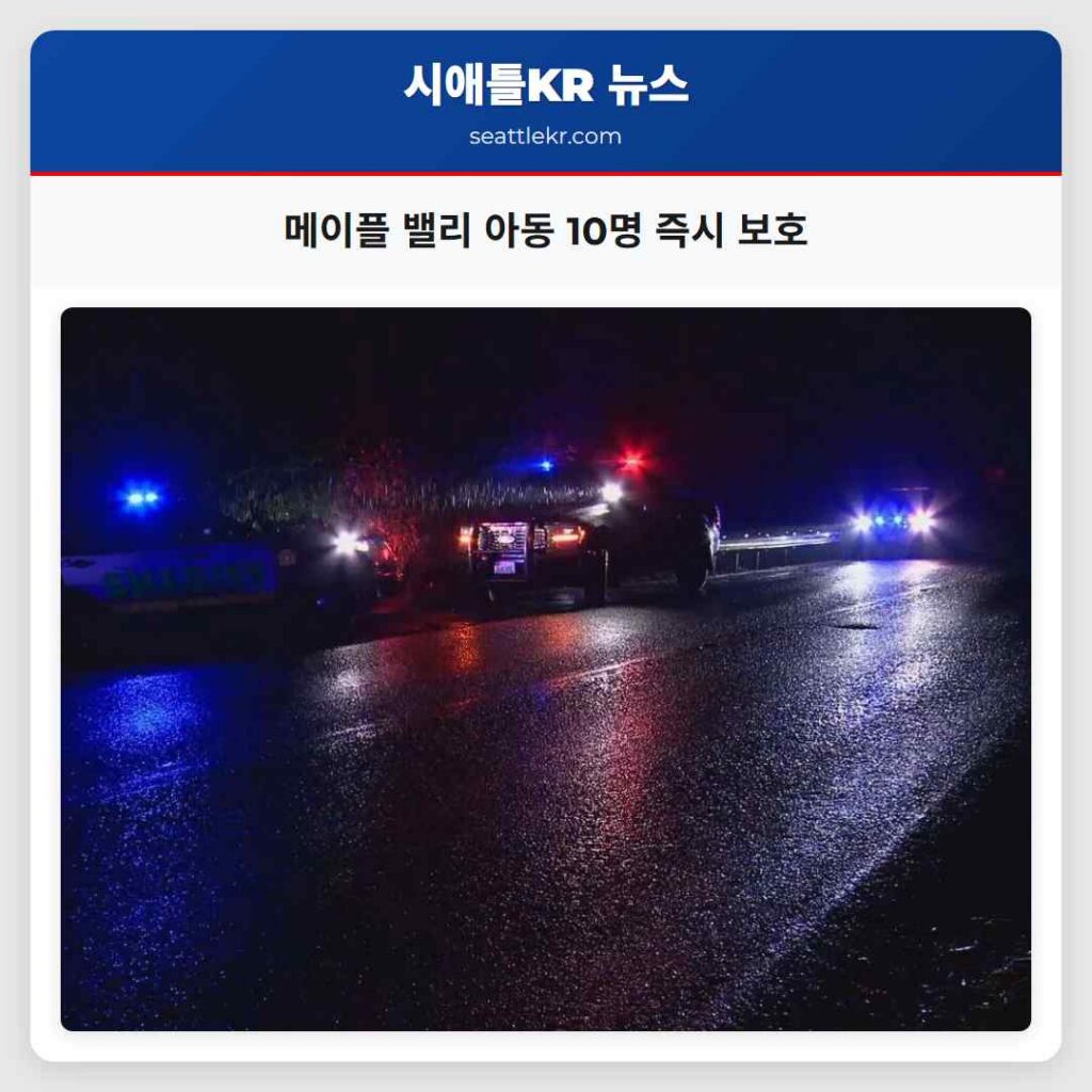 메이플 밸리 아동 10명 즉시 보호