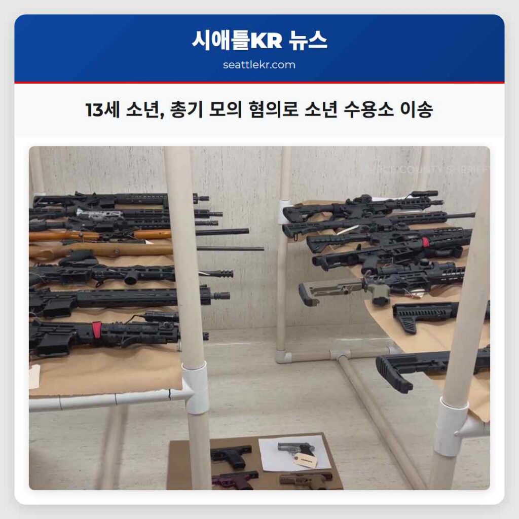 13세 소년, 총기 모의 혐의로 소년 수용소 이송