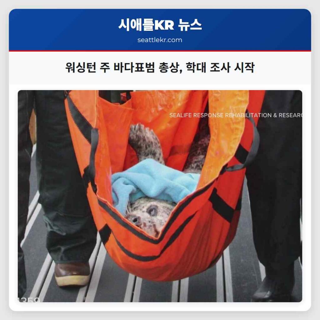 워싱턴 주 바다표범 총상, 학대 조사 시작