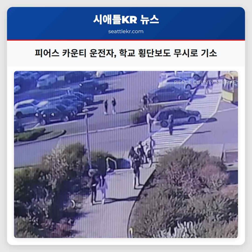 피어스 카운티 운전자, 학교 횡단보도 무시로 기소