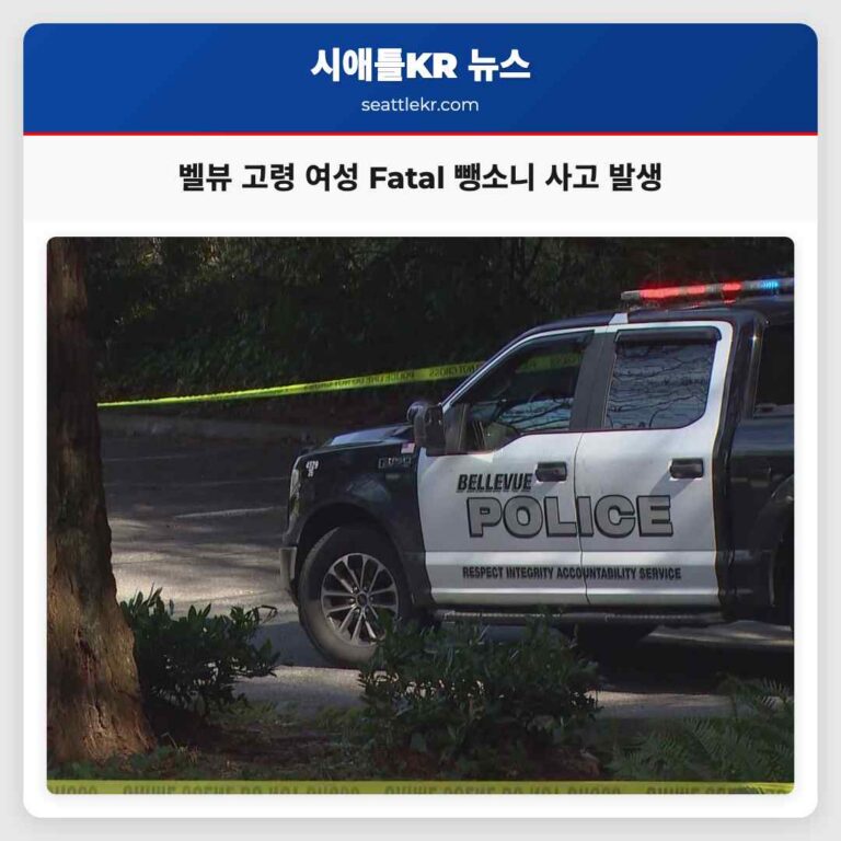 벨뷰 벨-레드 로드 고령 여성 Fatal 뺑소니 사고 발생 수사 진행 중