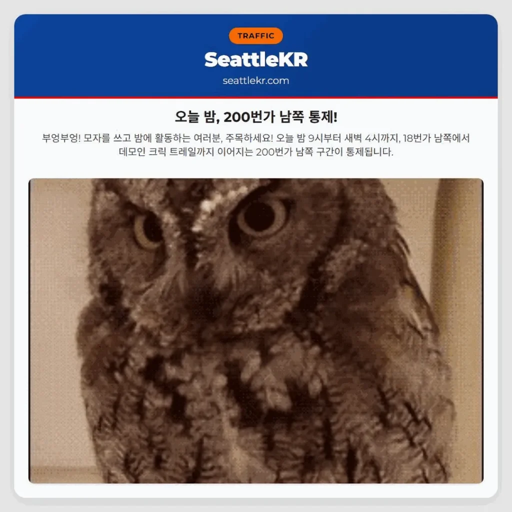 오늘 밤, 200번가 남쪽 통제!