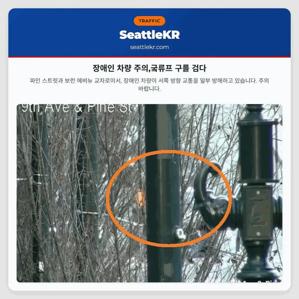 장애인 차량 주의,궄류프 구를 검다