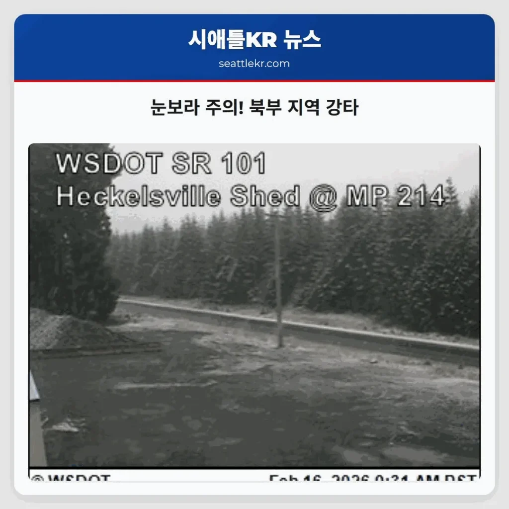 눈보라 주의! 북부 지역 강타