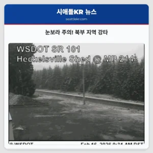 눈보라 주의! 북부 지역 강타