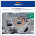 장애인 차량, 주의! 동 차선 정체