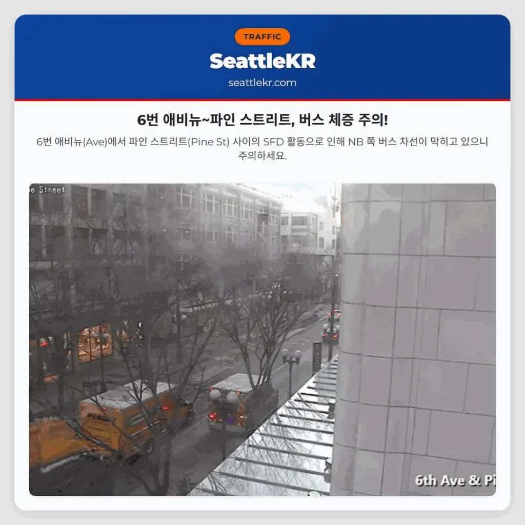 6번 애비뉴~파인 스트리트, 버스 체증 주의!