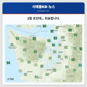 2월 초인데… 죄송합니다.