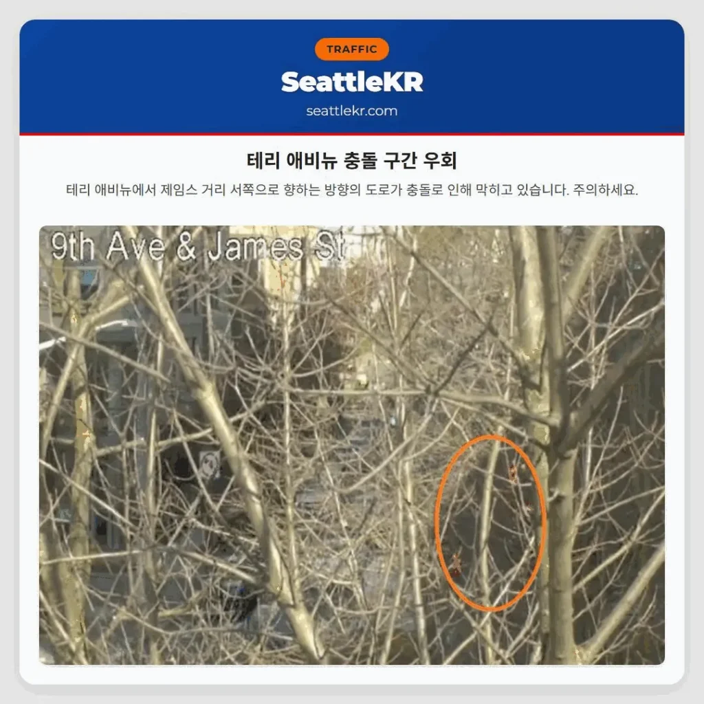 테리 애비뉴 충돌 구간 우회