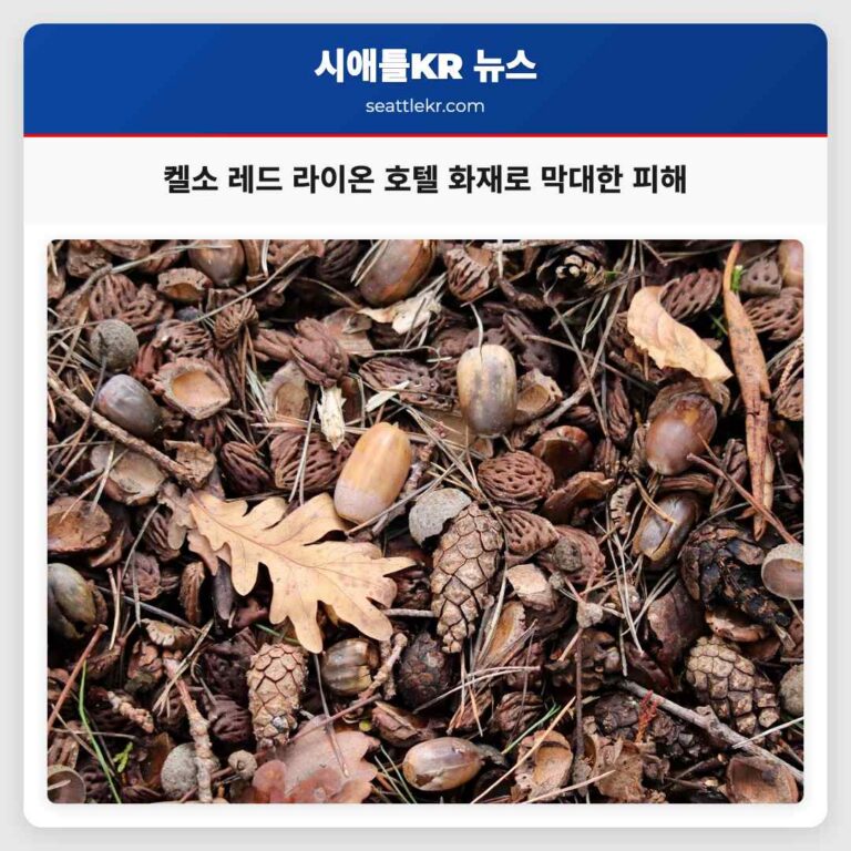 켈소 레드 라이온 호텔 화재로 막대한 피해 발생