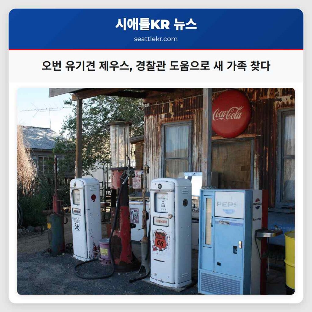 오번 유기견 제우스, 경찰관 도움으로 새 가족 찾다