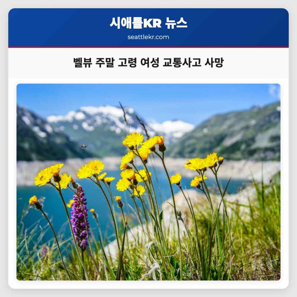 벨뷰 주말 고령 여성 교통사고 사망