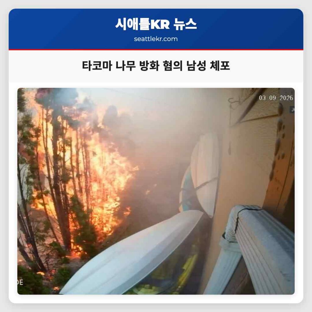 타코마 나무 방화 혐의 남성 체포