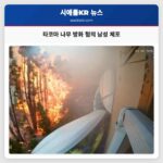 타코마 지역 수십 그루 나무 방화 혐의 남성 체포