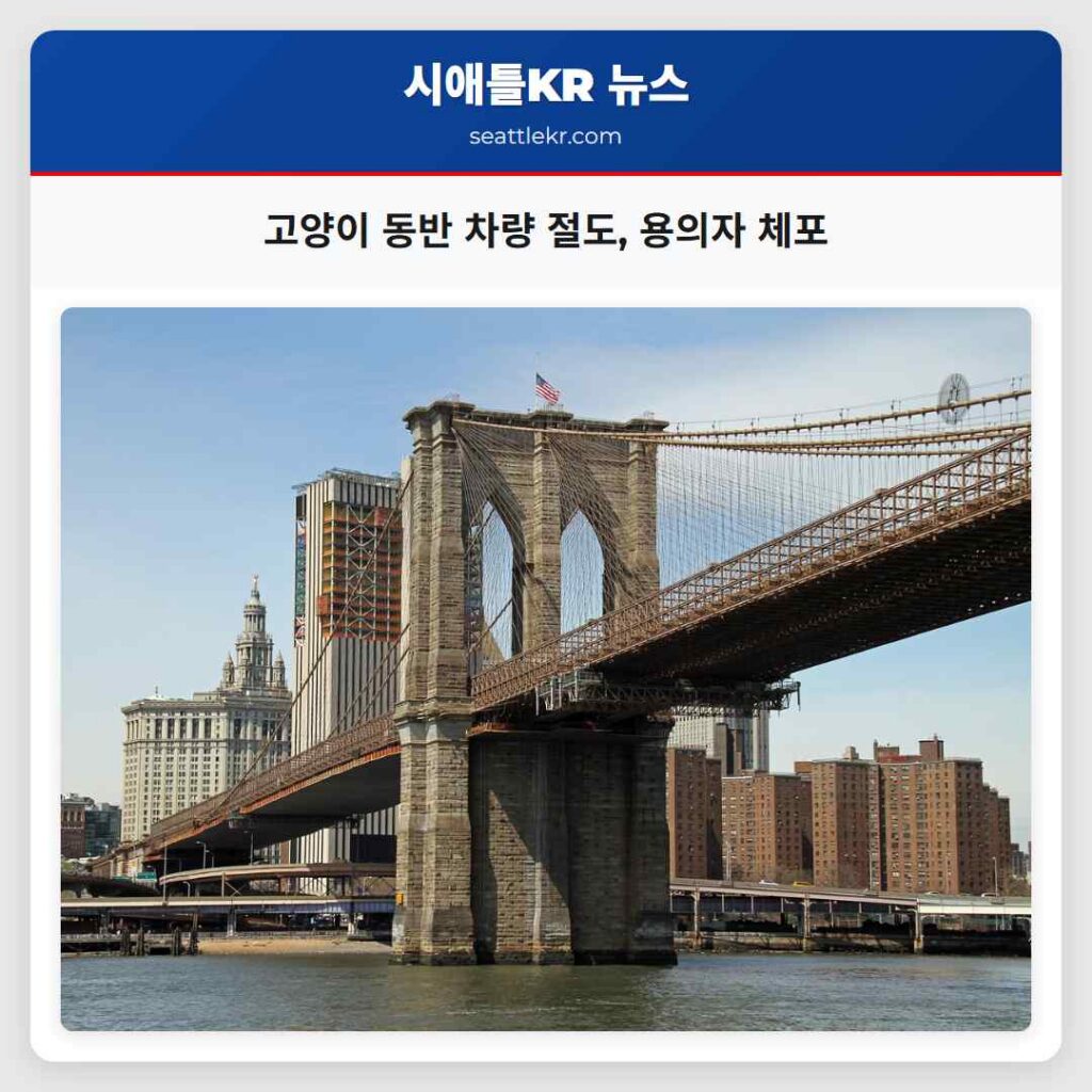 고양이 동반 차량 절도, 용의자 체포