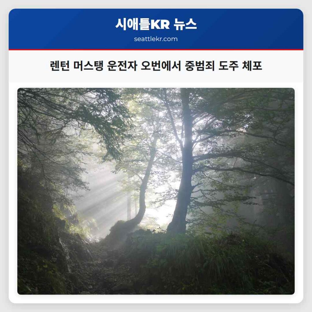 렌턴 머스탱 운전자 오번에서 중범죄 도주 체포