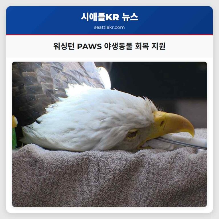 워싱턴 PAWS 야생동물 보호센터 다양한 야생동물의 회복 이야기