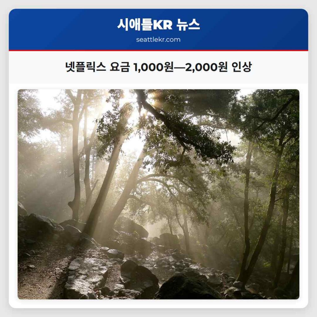 넷플릭스 요금 1,000원—2,000원 인상