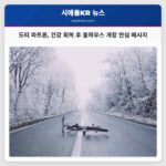 도티 파트론 건강 회복으로 돌하우스 개장 첫날 팬들 안심시켜