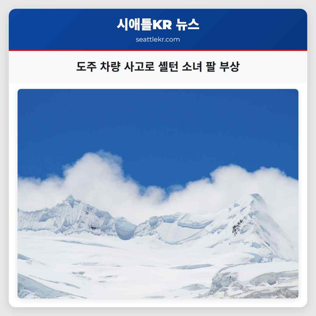 도주 차량 사고로 셸턴 소녀 팔 부상