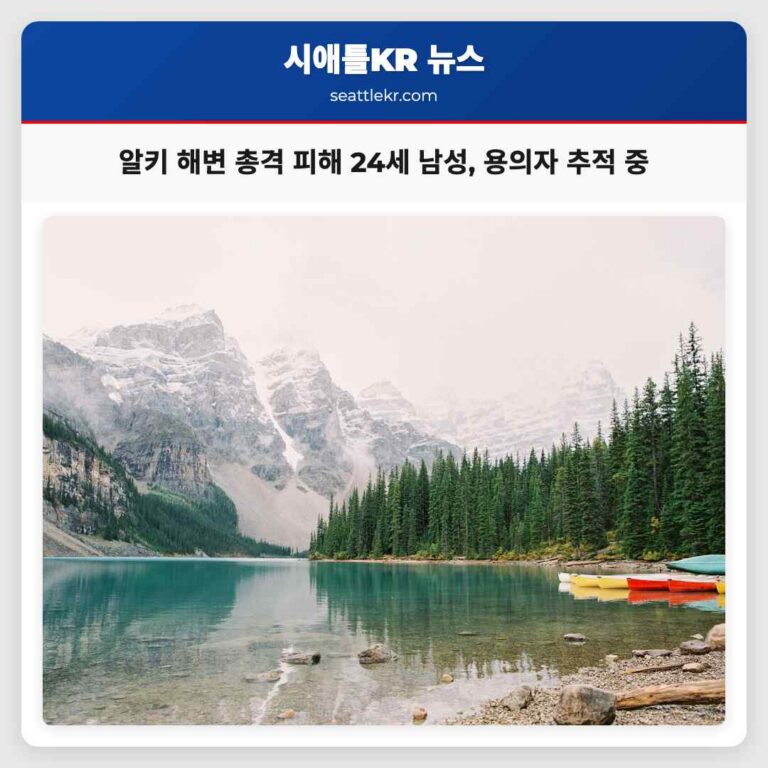 시애틀 근교 알키 해변에서 24세 남성 복부 총격 피해 용의자 검거 중