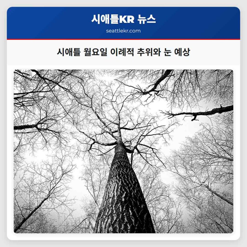 시애틀 월요일 이례적 추위와 눈 예상