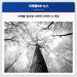 시애틀 월요일 아침 이례적 추위와 눈 예보