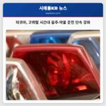 타코마 경찰서 고위험 시간대 음주 및 약물 운전 단속 강화