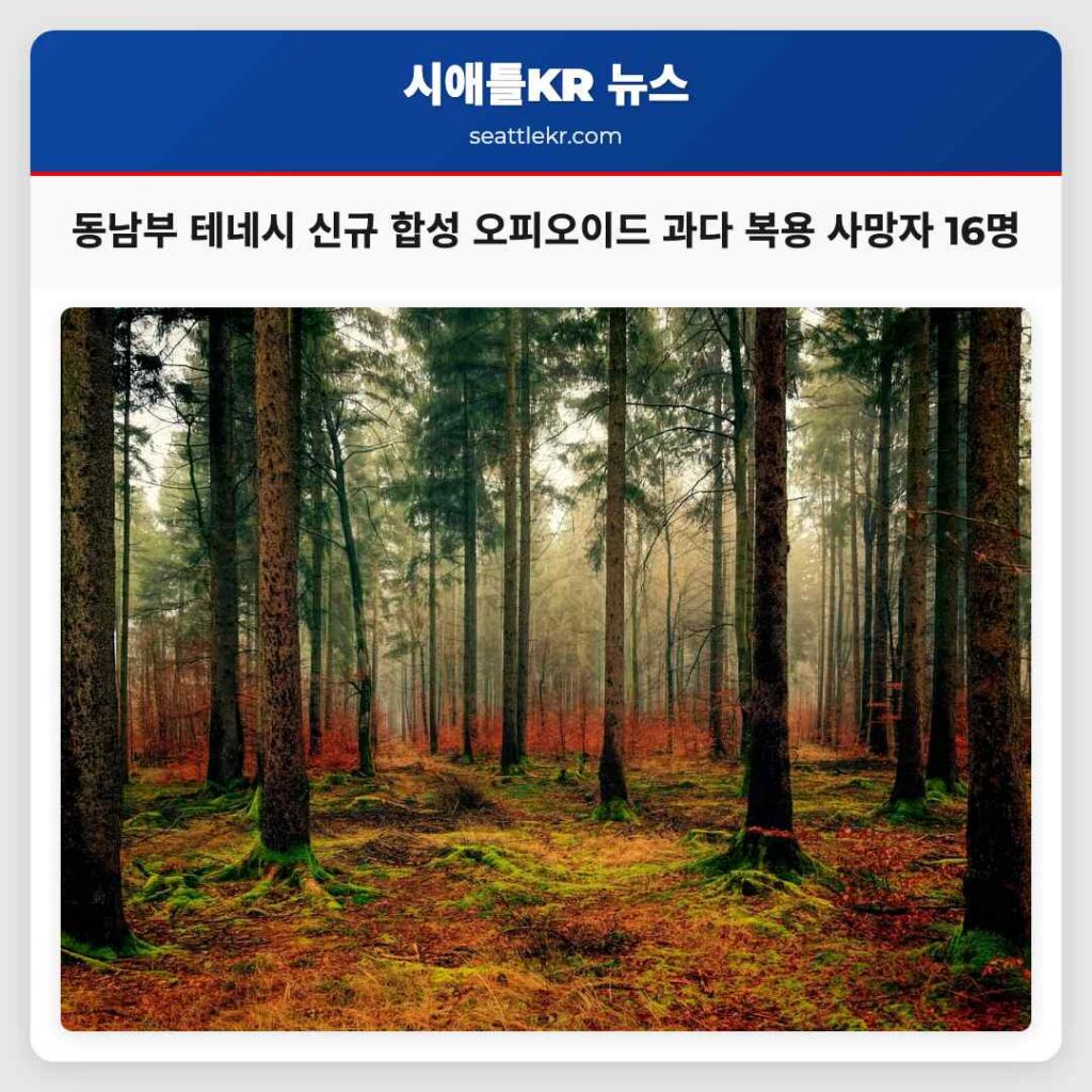 동남부 테네시 신규 합성 오피오이드 과다 복용 사망자 16명