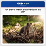 미키 말레이시 10년 만의 한나 몬태나 변신으로 팬들 마음 다시 흔들어