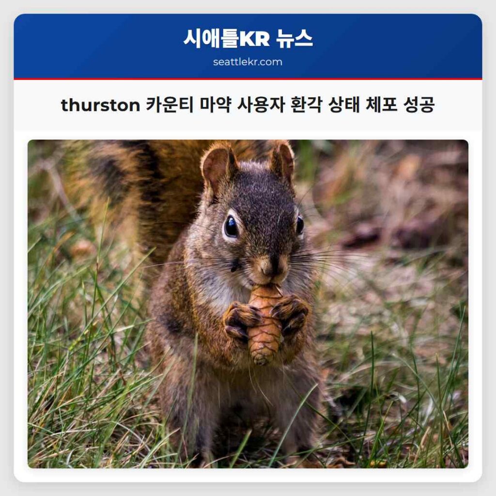 thurston 카운티 마약 사용자 환각 상태 체포 성공